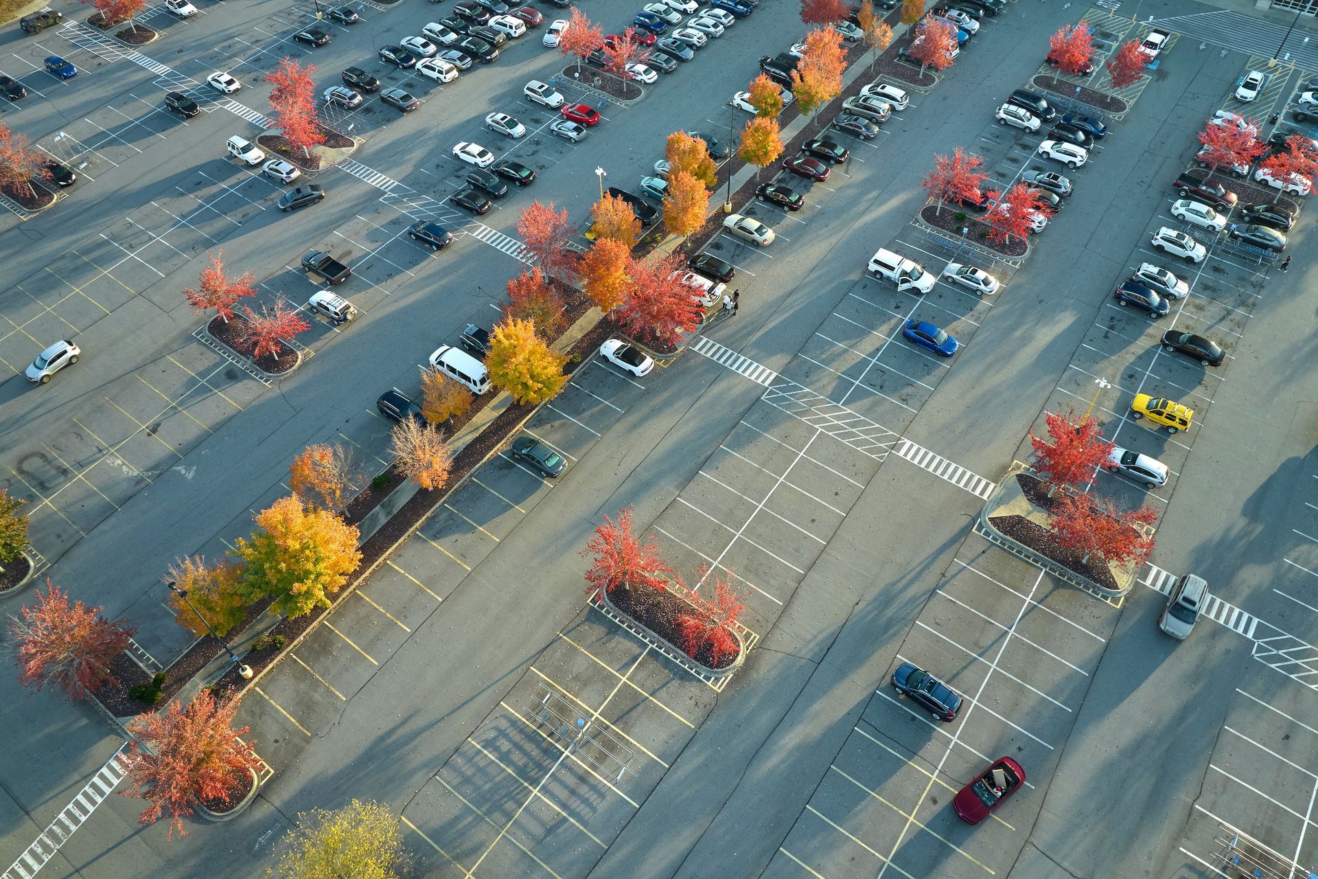 Aerial view of a mostly filled parking lot lined with colorful autumn trees.