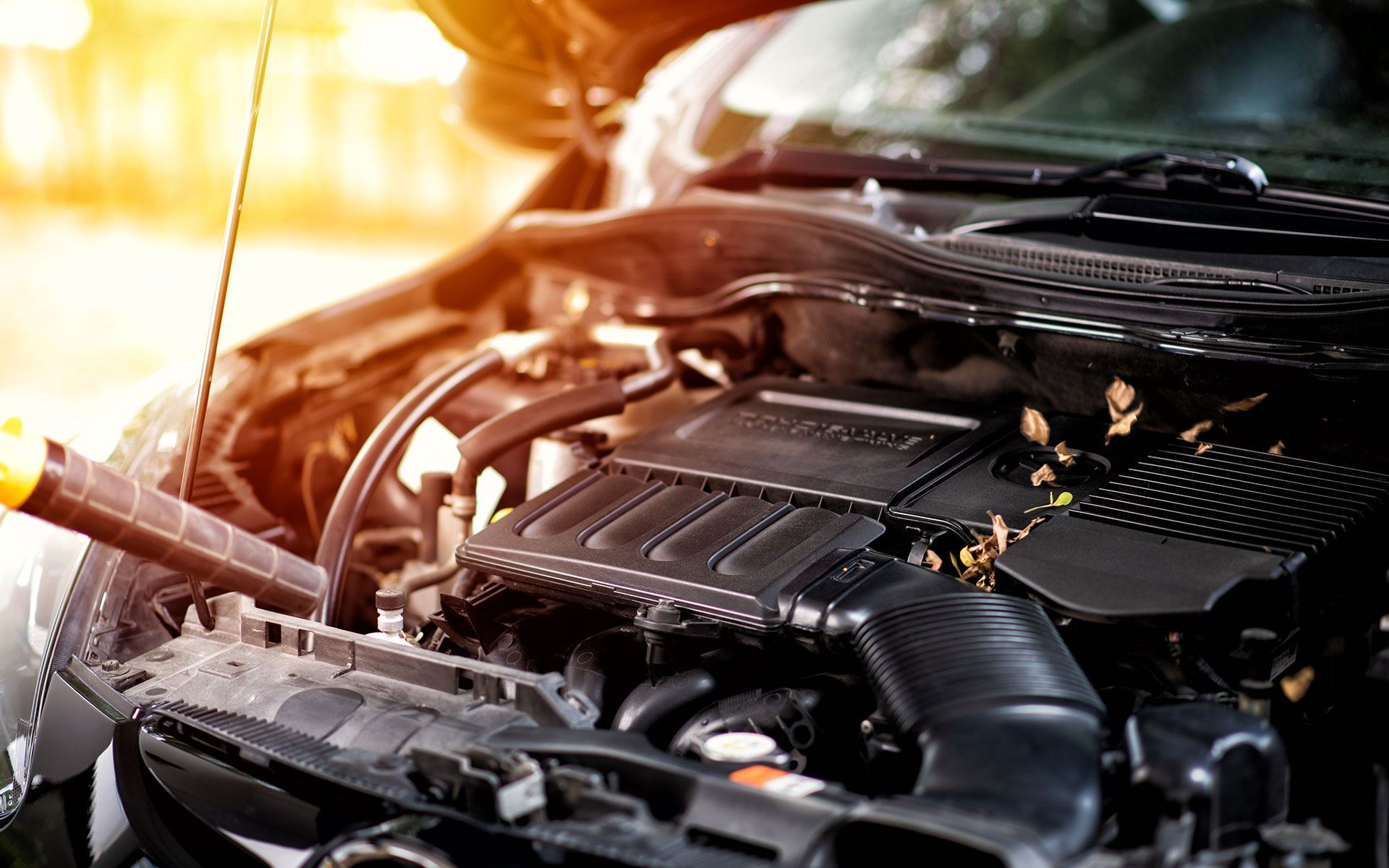 Car engine bay open with a maintenance tool under the hood, sunlight shining.