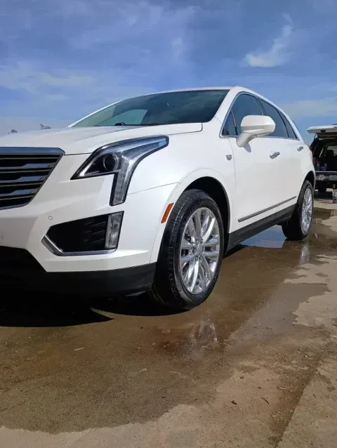 White Cadillac SUV parked outdoors on wet pavement.