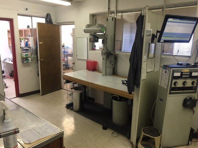 Operating Room | Albuquerque, NM | St. Francis Animal Clinic