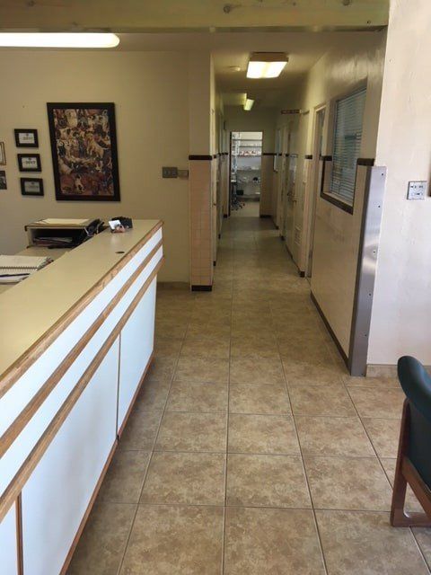 Inside The Clinic | Albuquerque, NM | St. Francis Animal Clinic