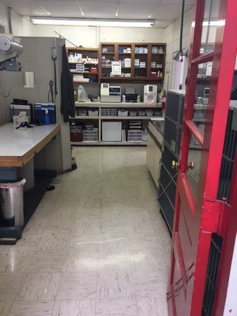 Laboratory Room | Albuquerque, NM | St. Francis Animal Clinic