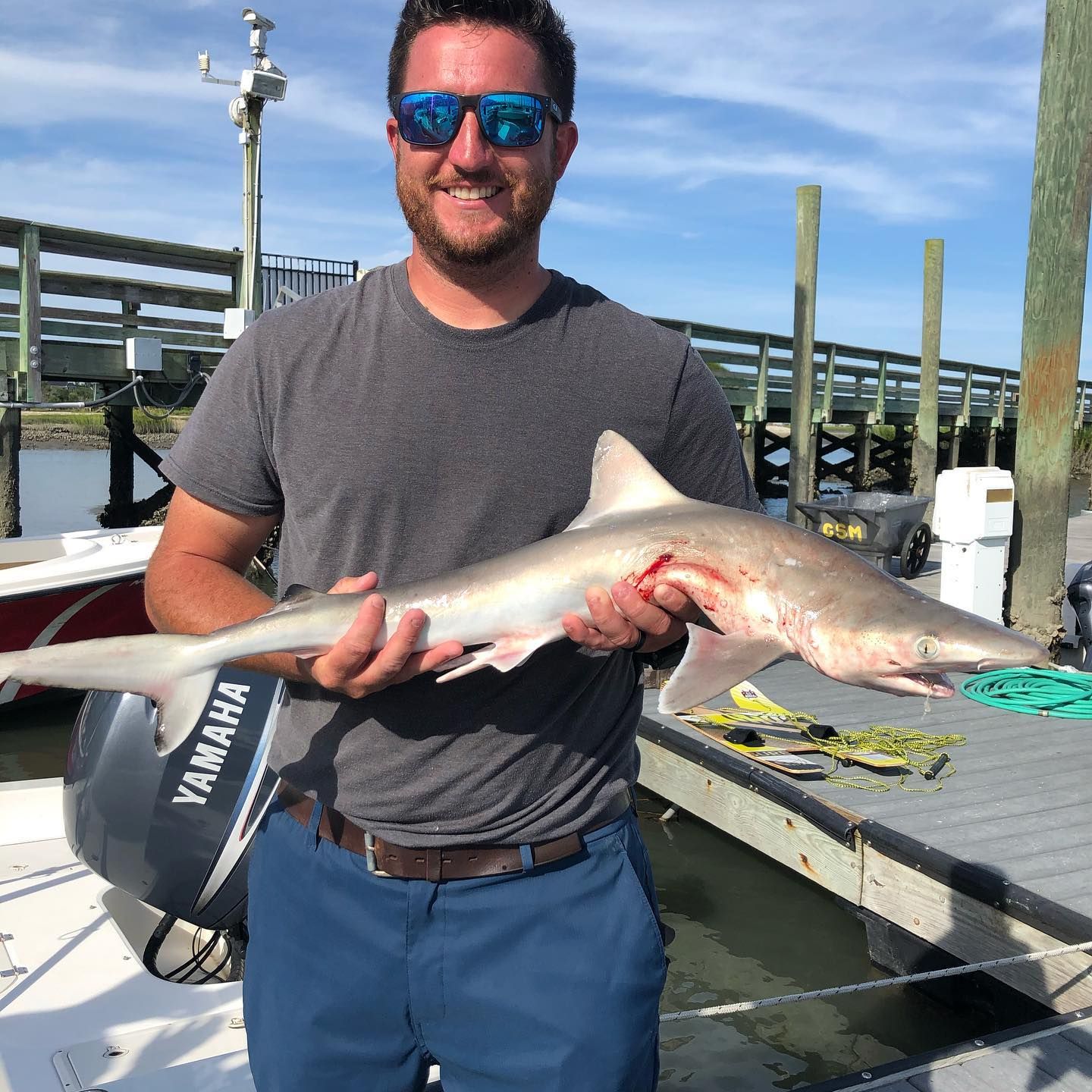 Man holding a small shark on a dock; blue water, sunny day.
