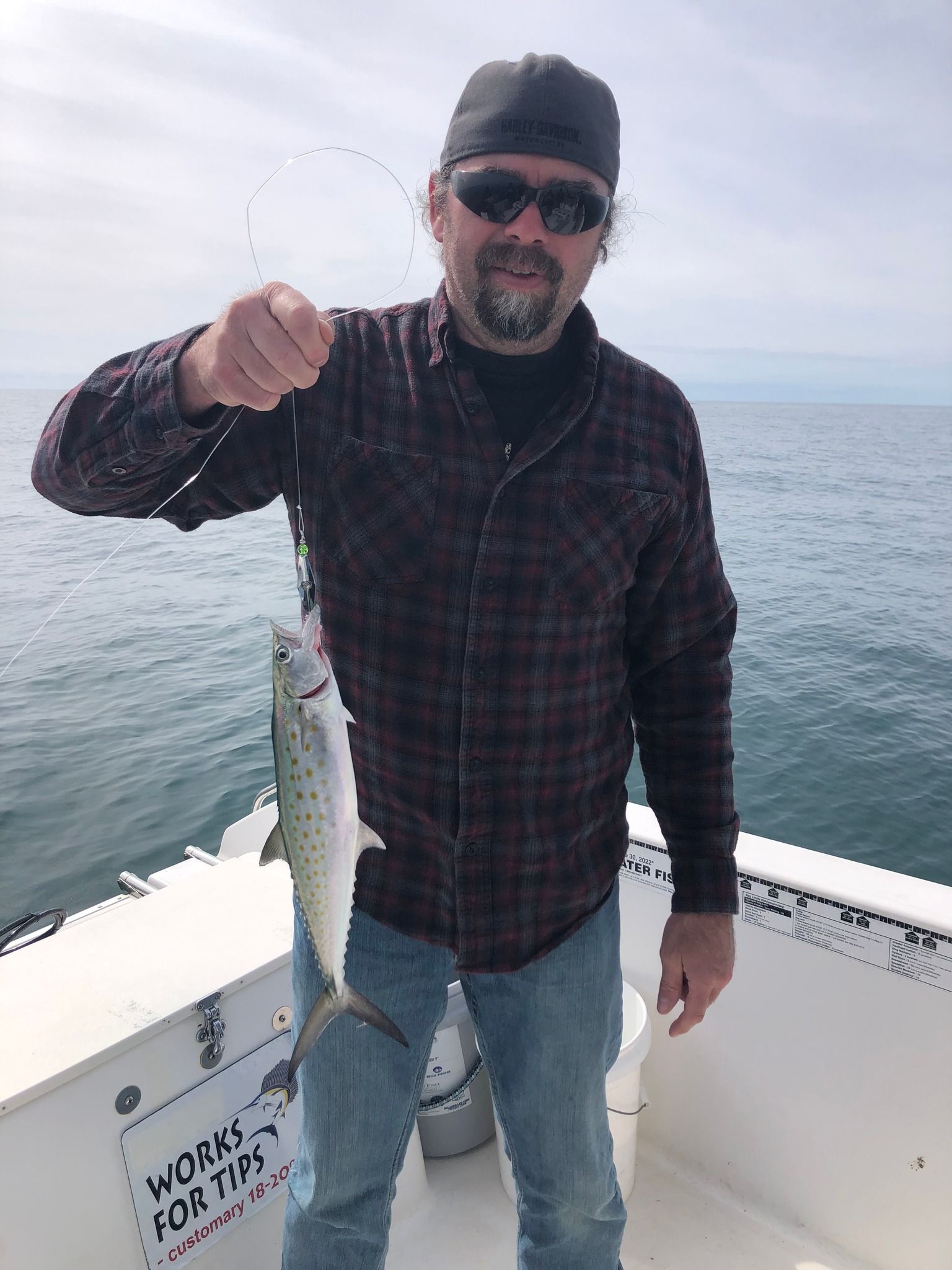 Man on a boat holding a small fish he caught; wearing sunglasses, a cap, and plaid shirt, with water in the background.