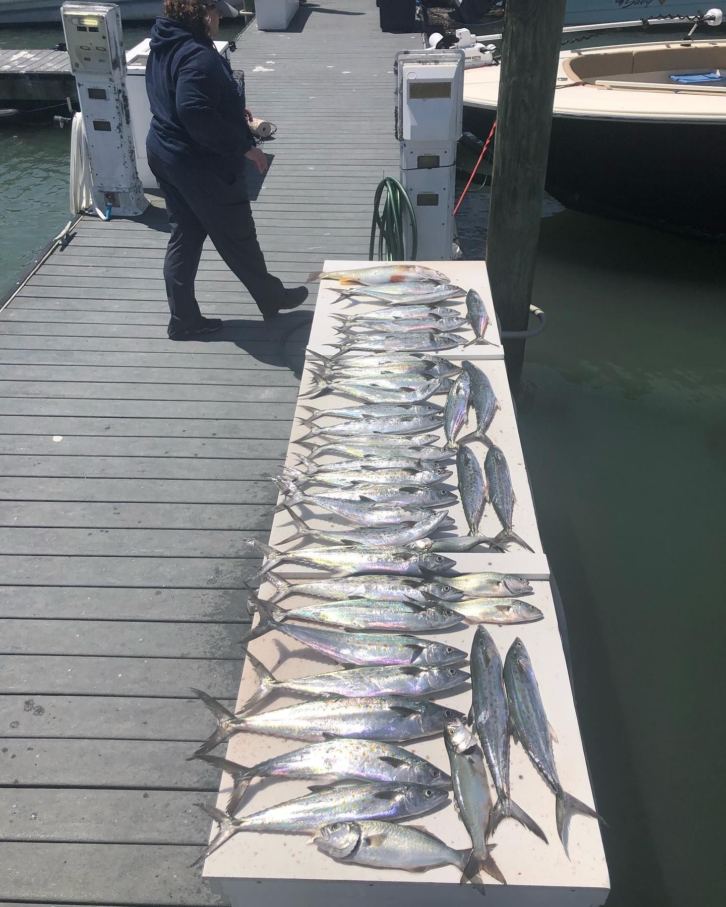 A person stands by a dock with a table full of various freshly caught fish.