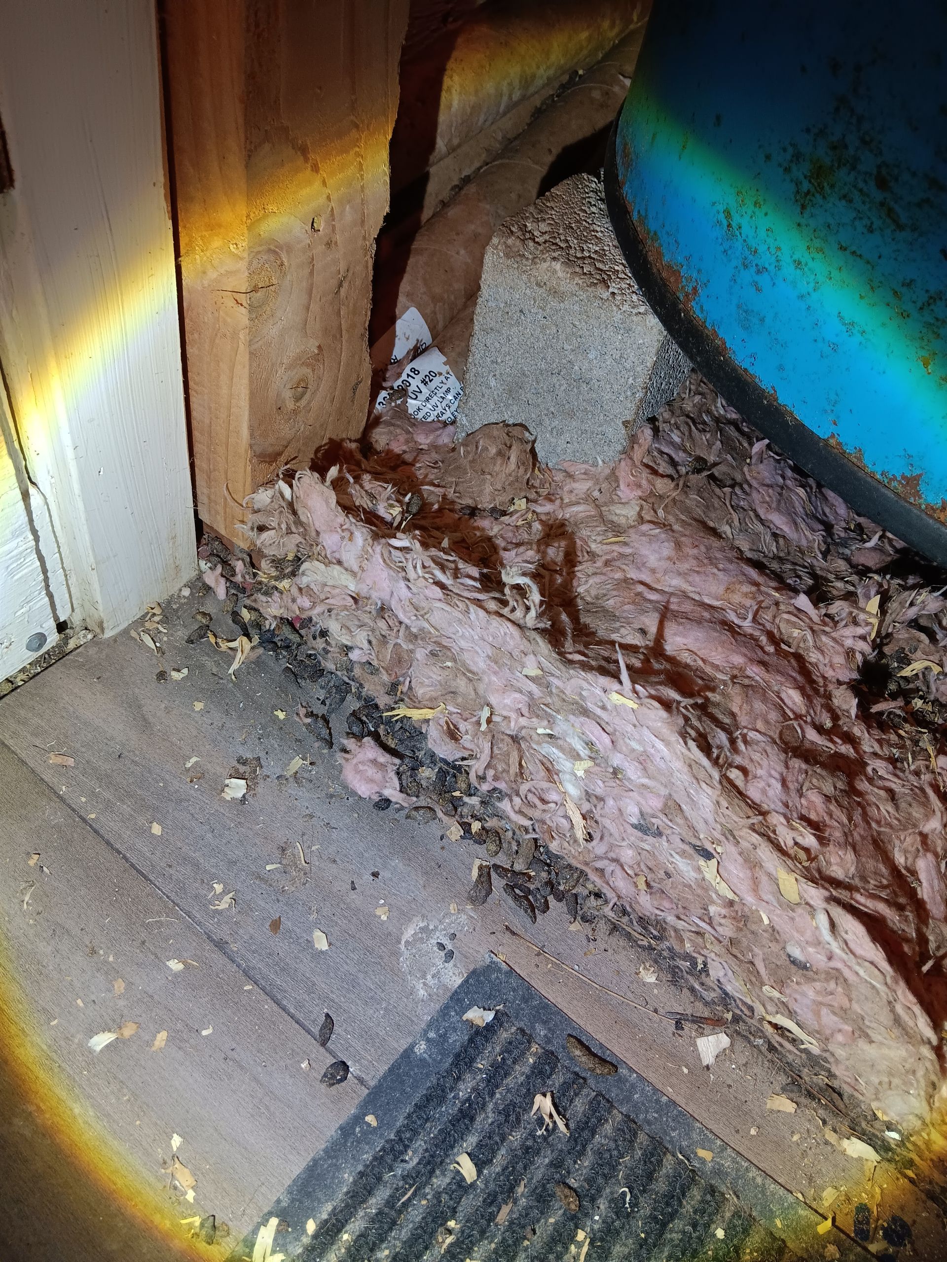 Rat droppings inside a water heater room.