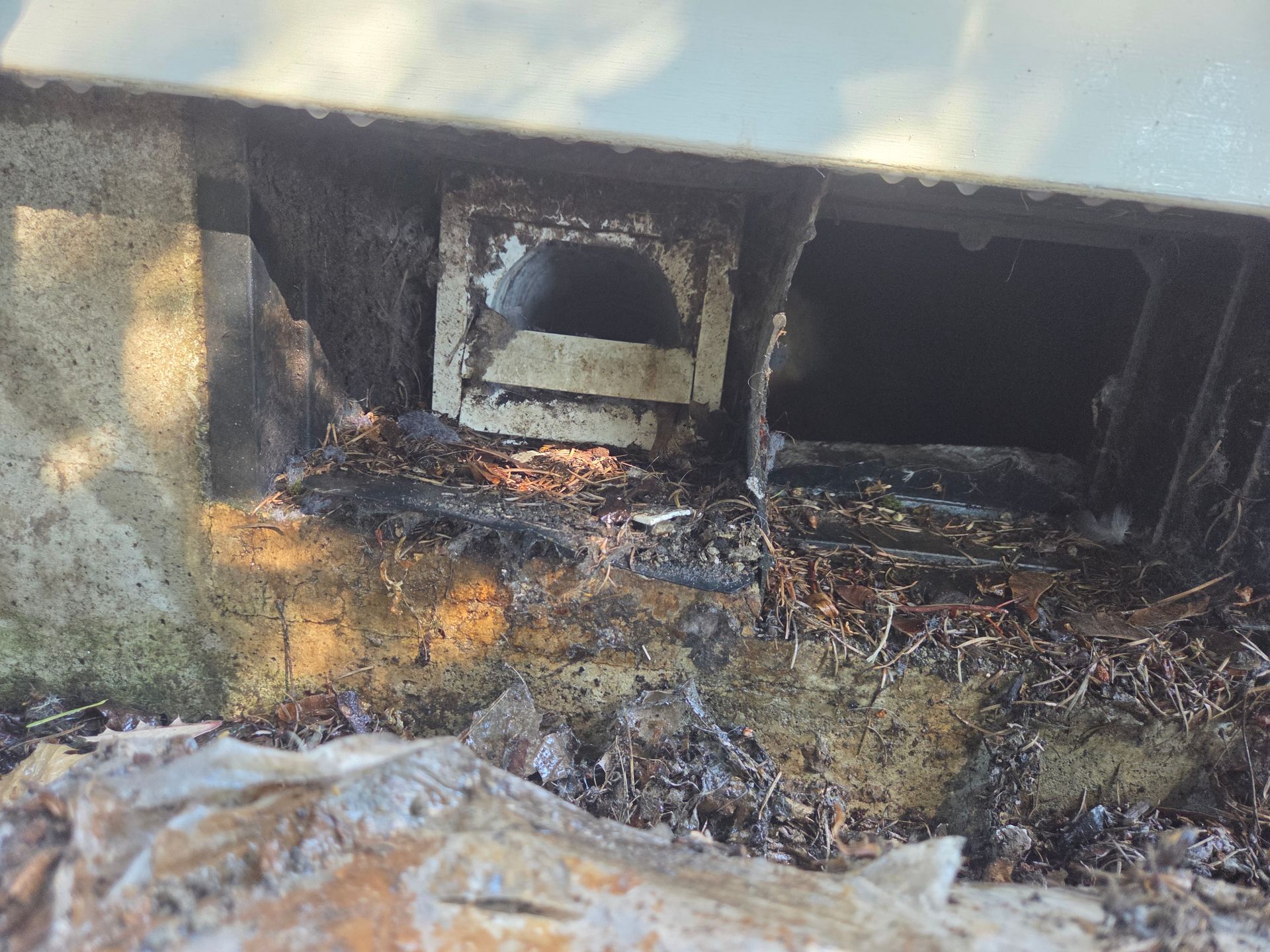 Broken vent screens with dryer vent coming out of it. Access point for rodents