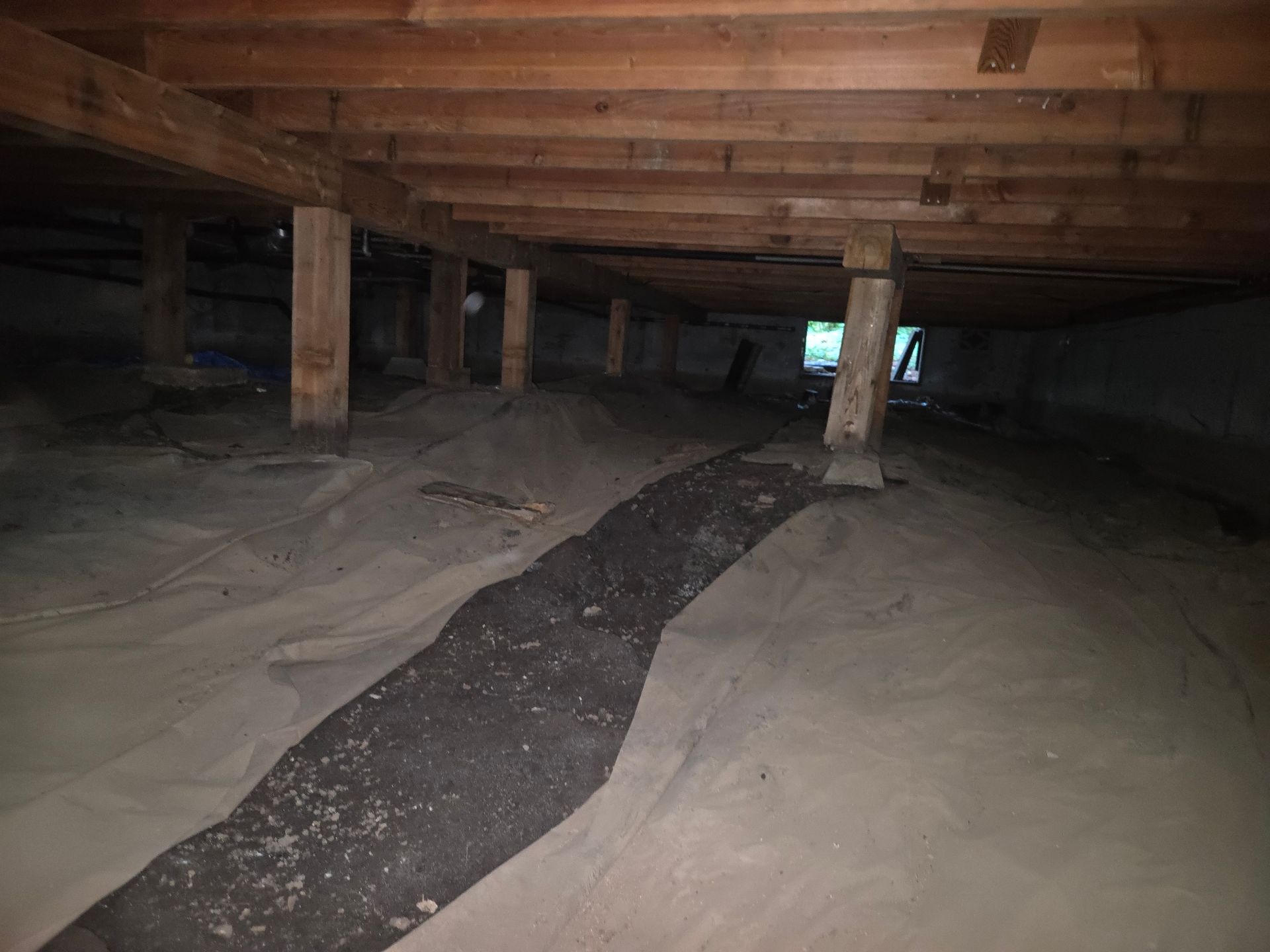 Crawlspace inspection service