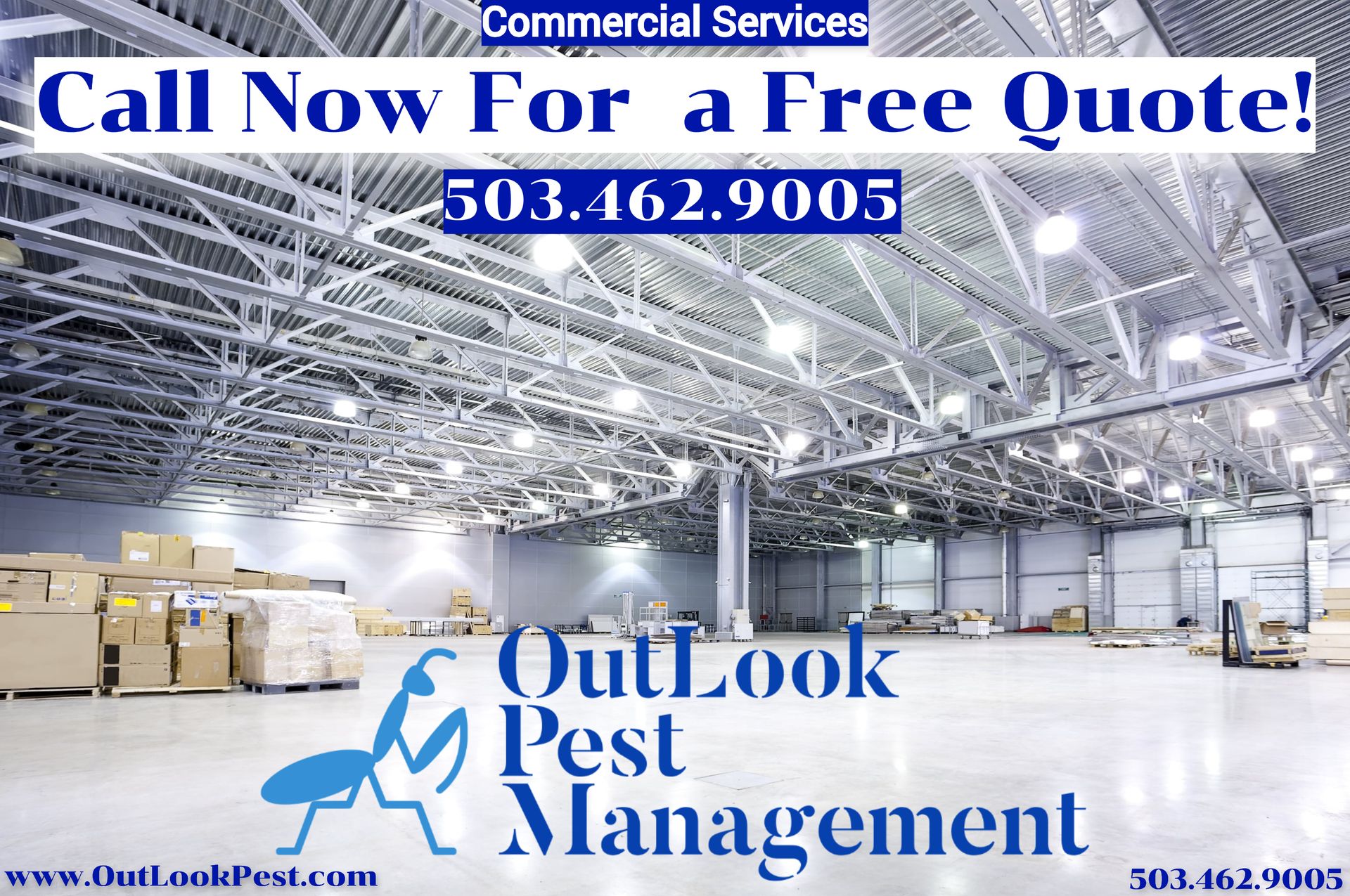 Rat elimination, rat removal, pest control services near me, pest control, rodent control, Commercial Pest Control, Rodent Extermination