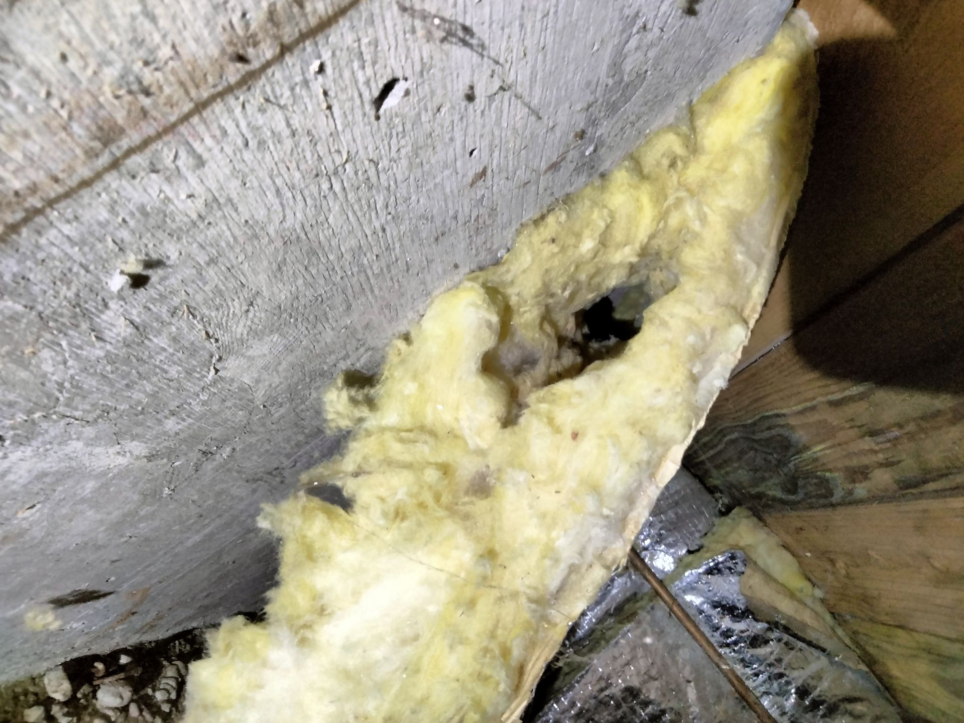 Rat elimination, rat removal, pest control services near me, pest control, rodent control