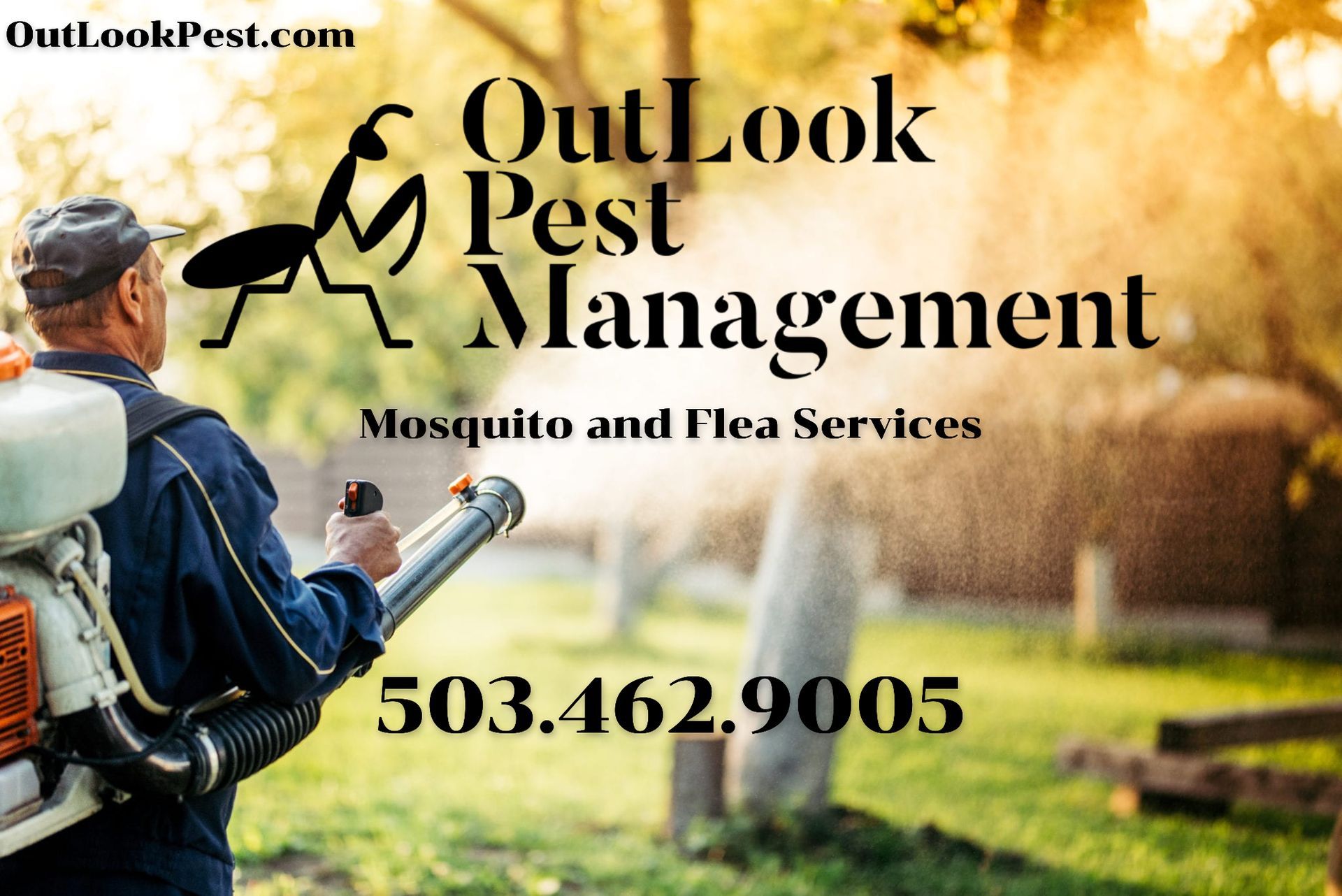 Rat elimination, rat removal, pest control services near me, pest control, rodent control, Mosquito, mosquito control, fleas, flea control