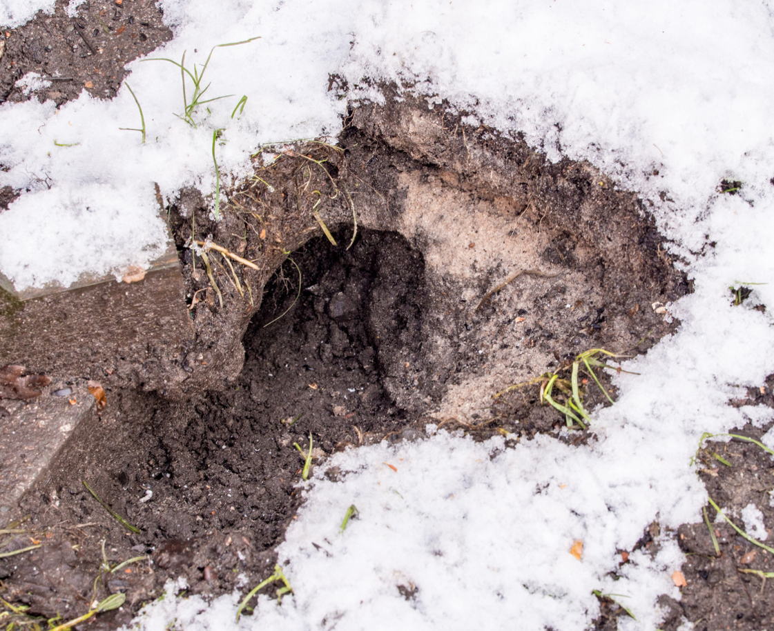 Rat hole in a garden covered by snow.