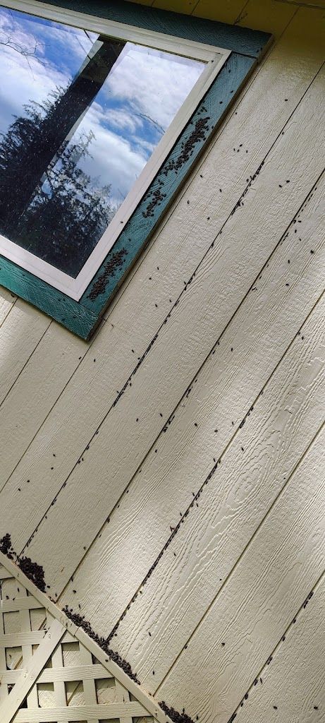 Outlook services residential homes