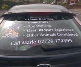 Rear window graphics