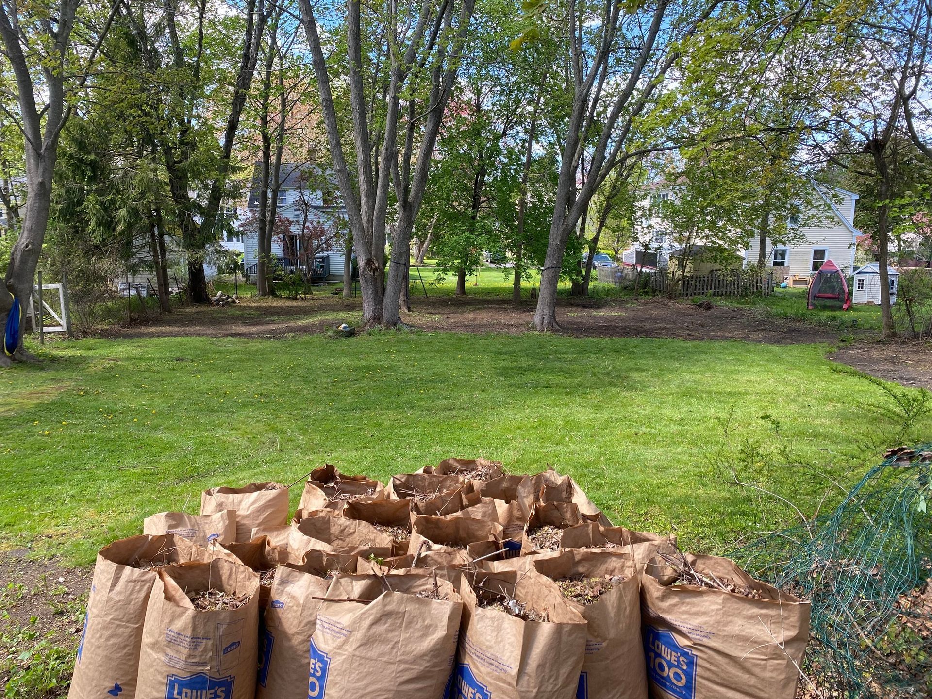 Pile of brown paper leaf bags in a yard. Green grass with trees and houses in the background.