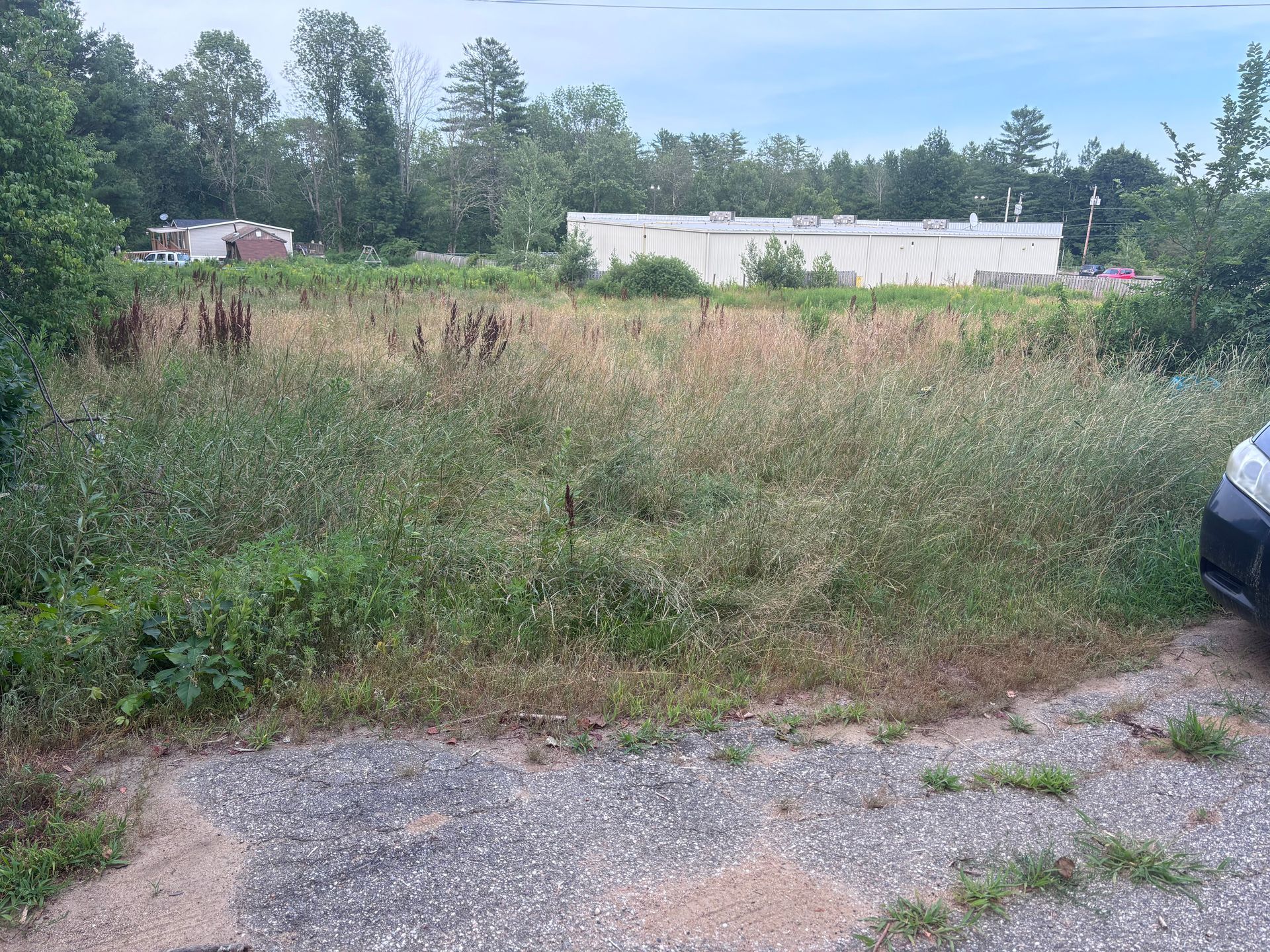 Grassy, overgrown lot with a gravel foreground. A white building and trees are in the background.
