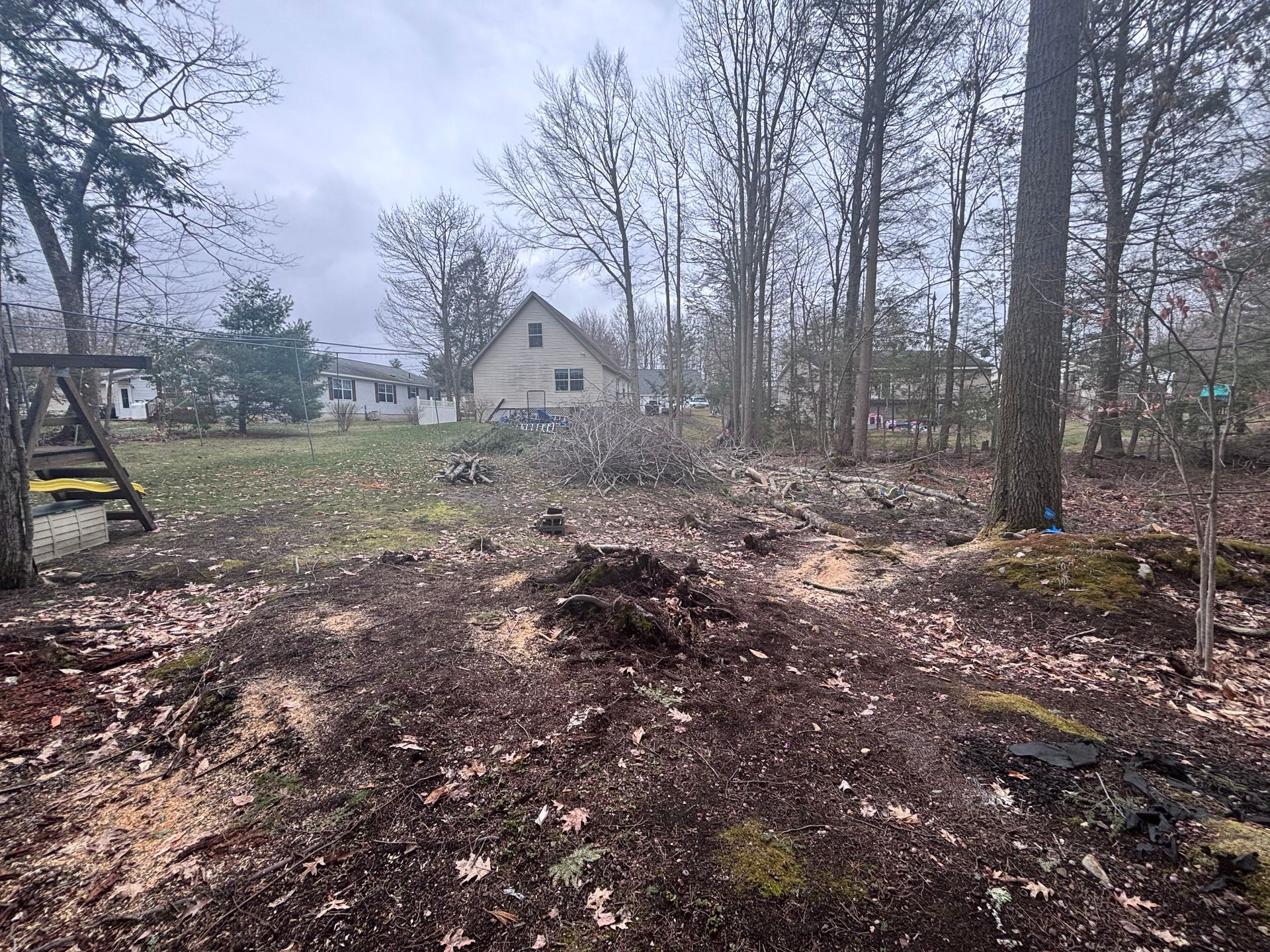 Clearing in wooded area with a house in the distance. Debris and sawdust on the ground; trees surround. Overcast day.