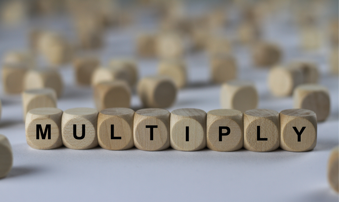 Multiplying Disciples