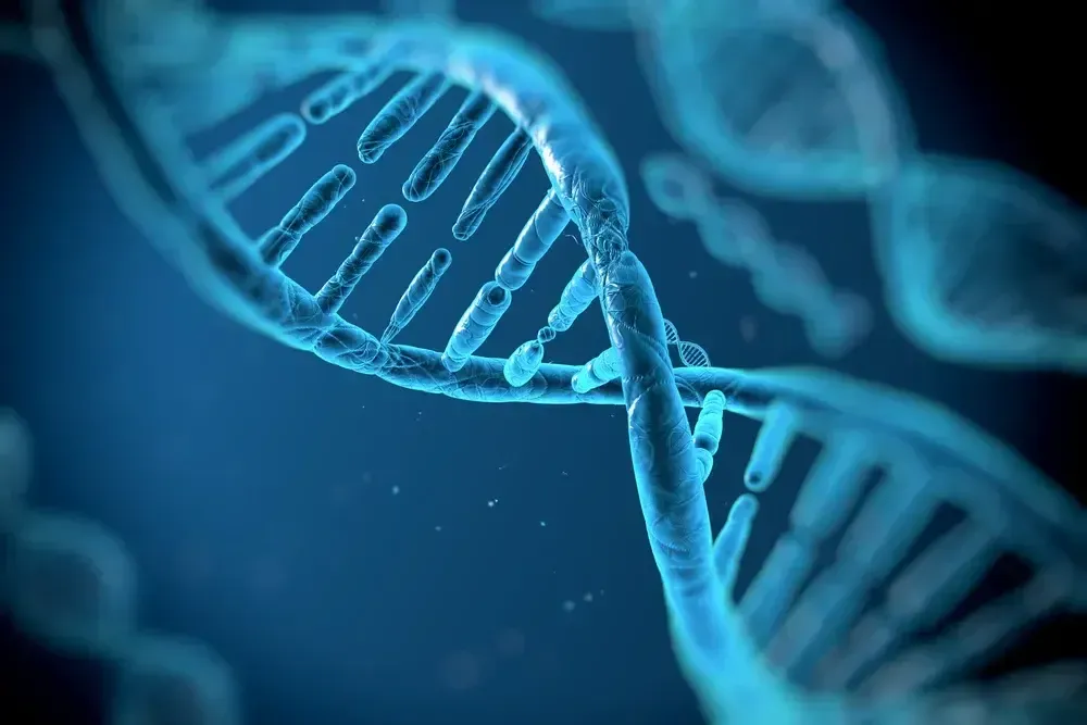 Disciple-Making DNA
