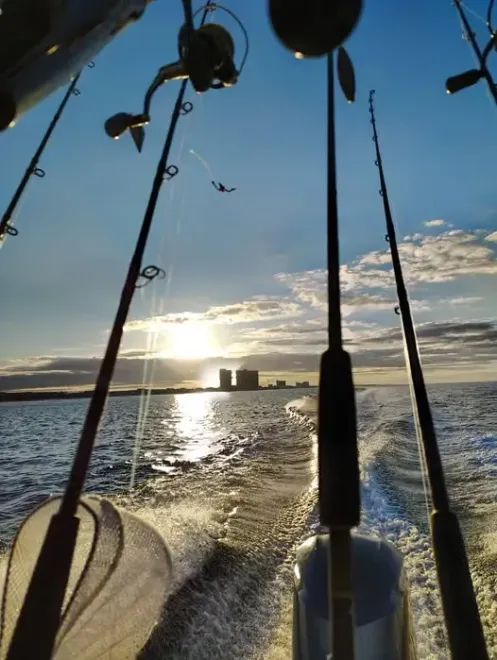 Fishing rods silhouetted on a boat at sunset over sparkling water, with birds in the sky
