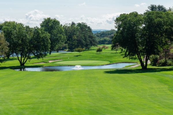 Hole #11