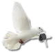 At Peace Locksmith