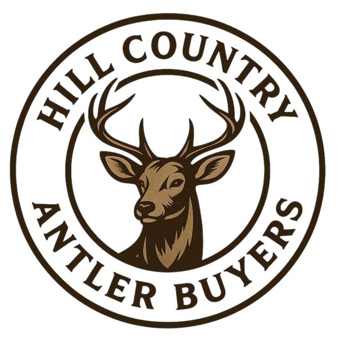 Hill Country Antler Buyers logo: deer head with antlers, circular border with text 