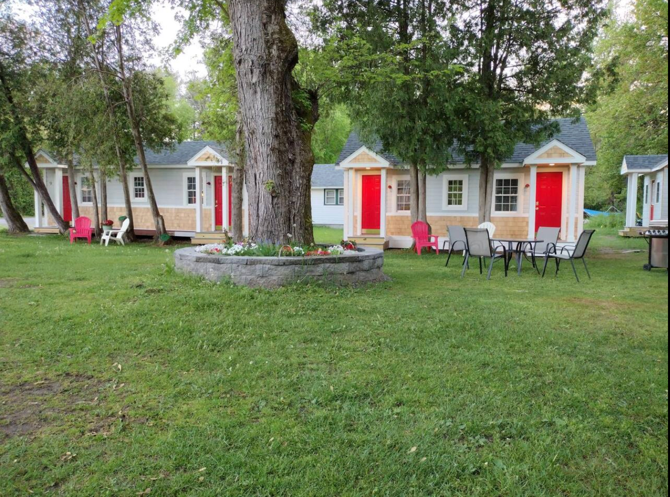 Small cabins with red doors, chairs on a green lawn with a large tree in the center.