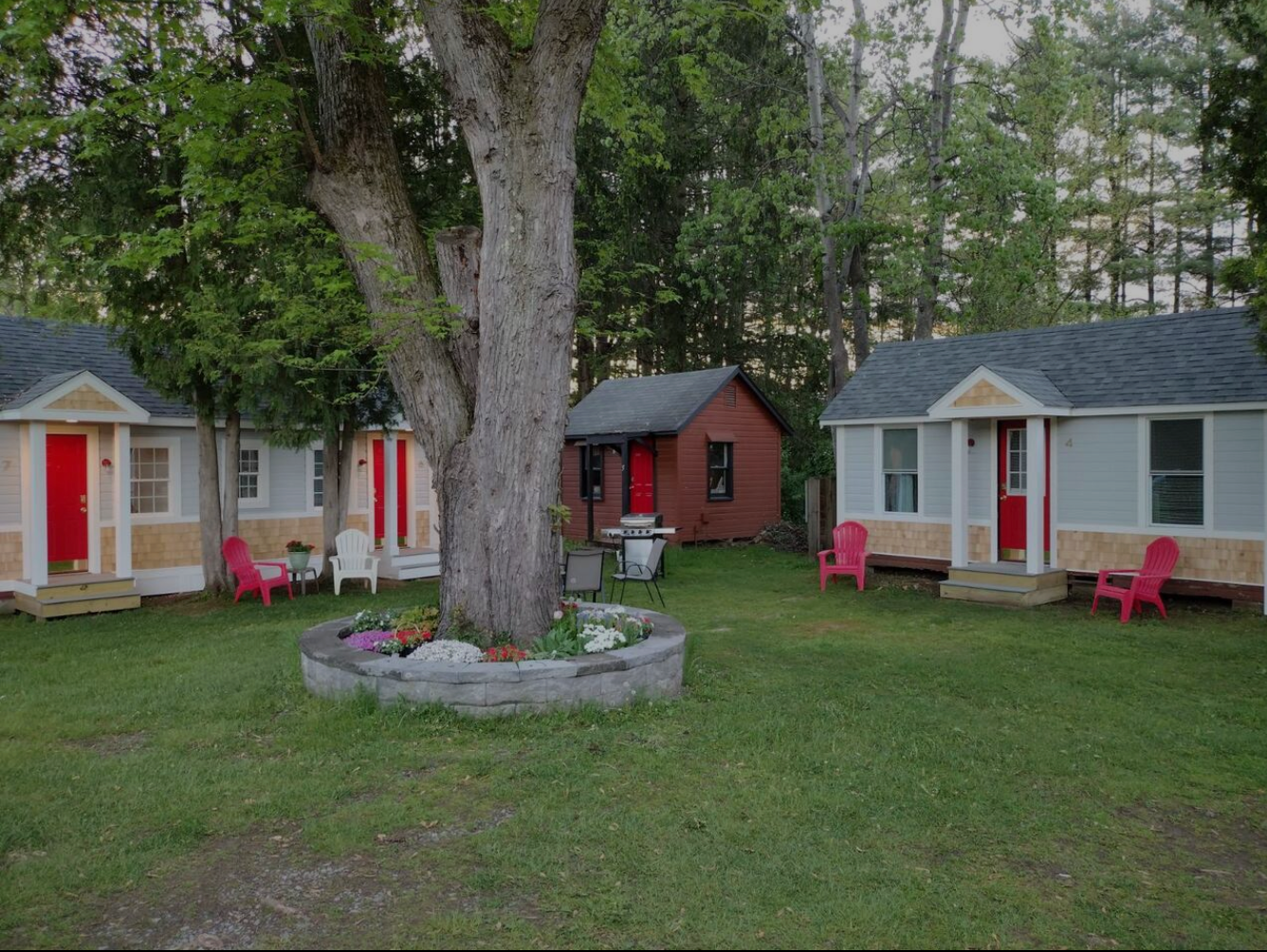 Small cabins with red doors and pink chairs sit around a tree.