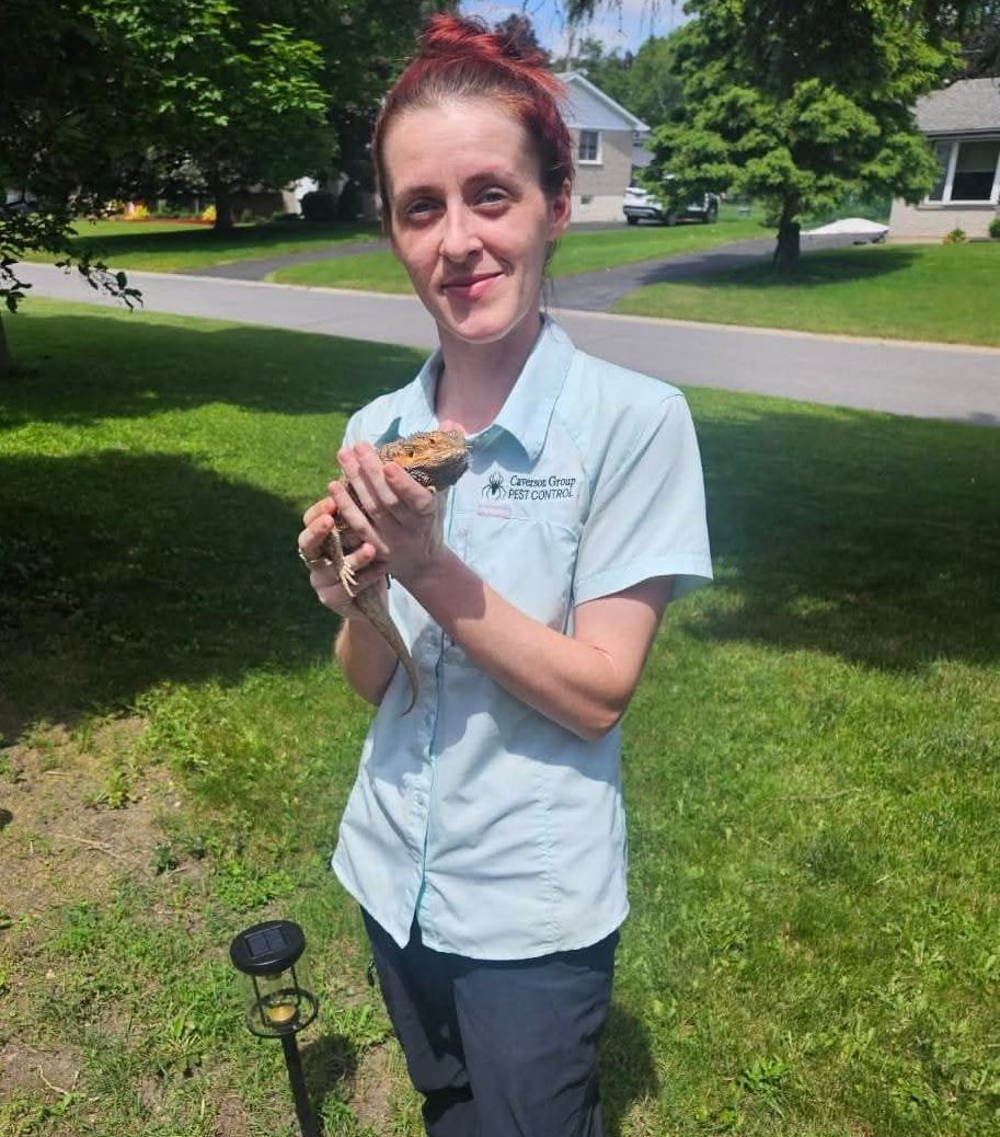 A woman in a blue shirt is holding a cupcake in her hands