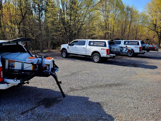 Parked SUVs on a gravel lot with a white utility trailer in the foreground and trees in back.