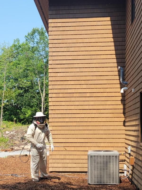 A man in a bee suit is standing in front of a wooden building.