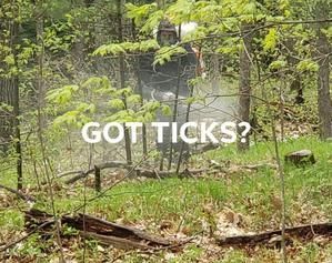 A person is standing in the middle of a forest.