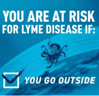 A sign that says you are at risk for lyme disease if you go outside
