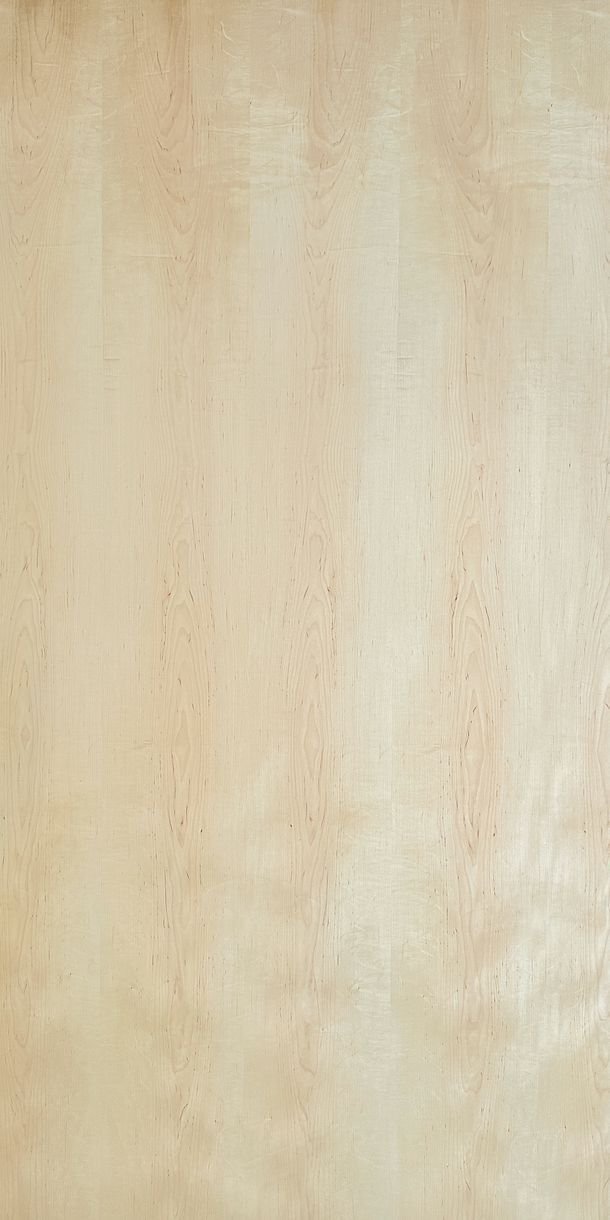 Maple Veneered Birch Plywood
