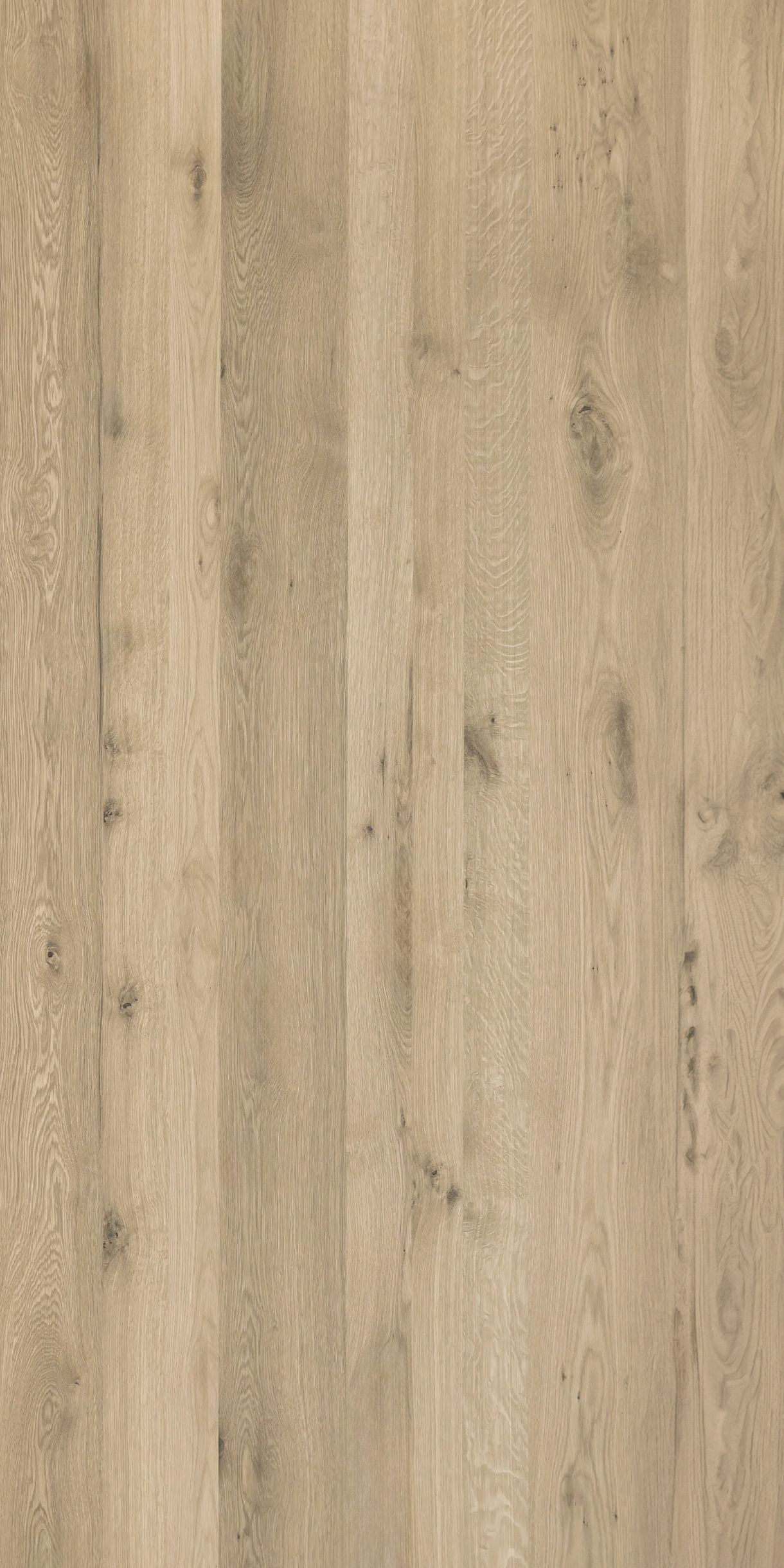 Pippy Oak Veneer