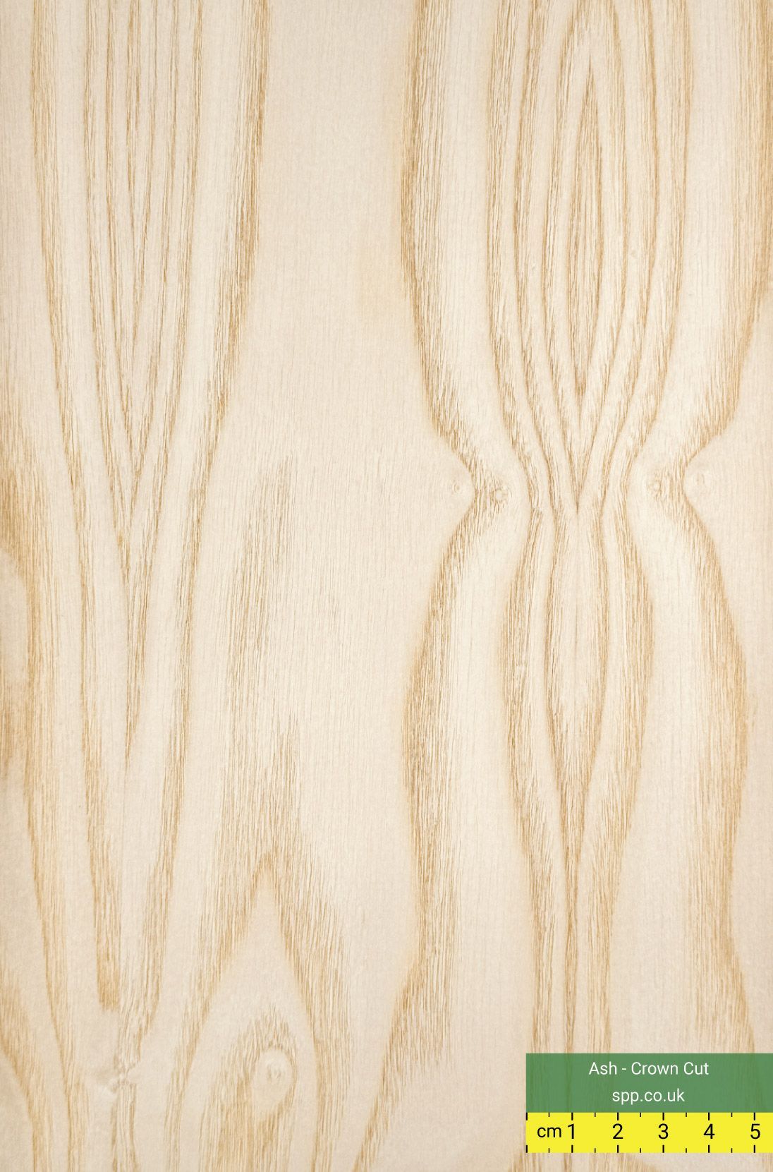 Crown Cut Ash Veneered Plywood