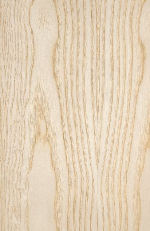 Ash Veneered Plywood