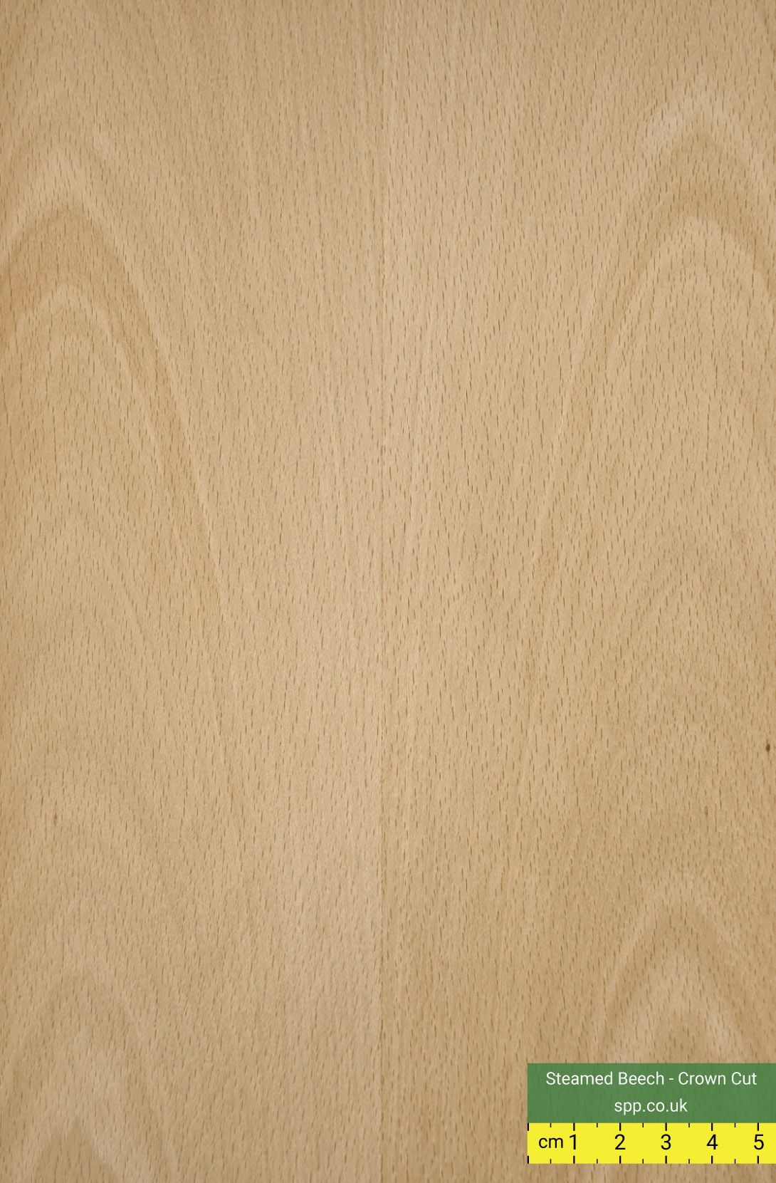 Steamed Beech Crown Cut Veneered Plywood