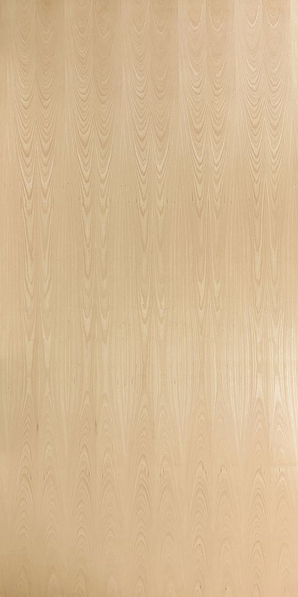 Steamed Beech Veneered Plywood Panels
