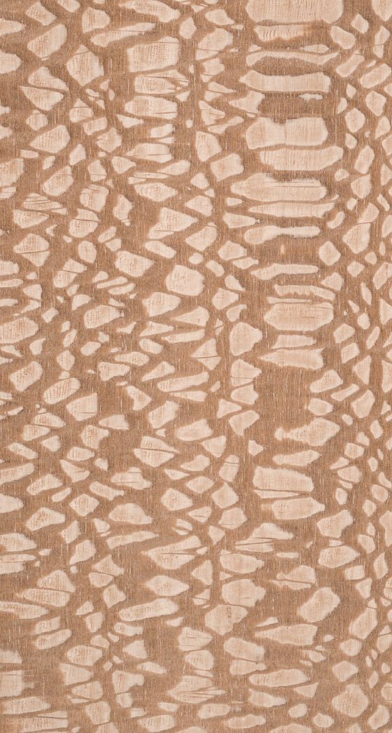 Snakeskin veneered plywood sheets