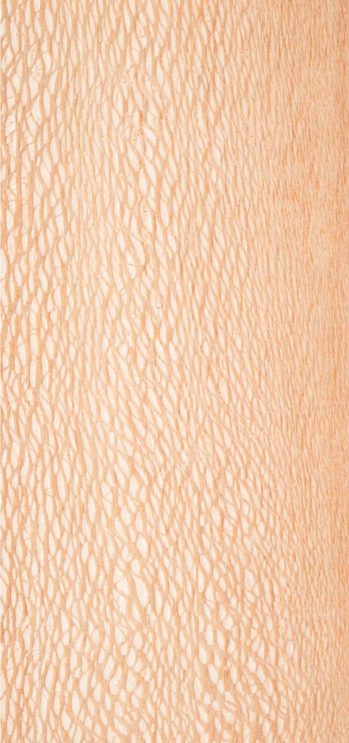 Plywood with Carbalho  speckled venners
