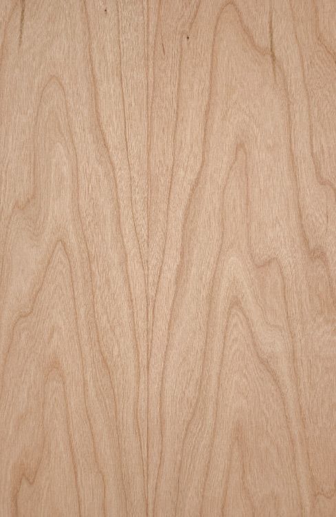Cherry Veneered Plywood