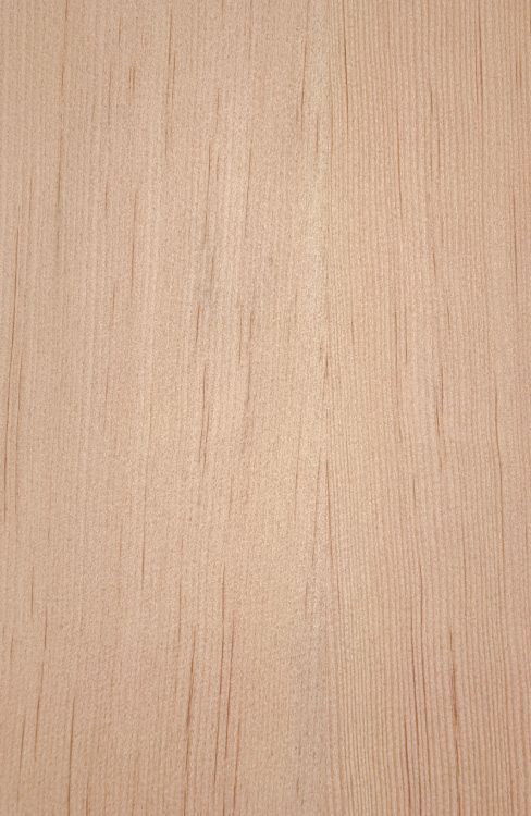 Douglas Fir Veneered Plywood
