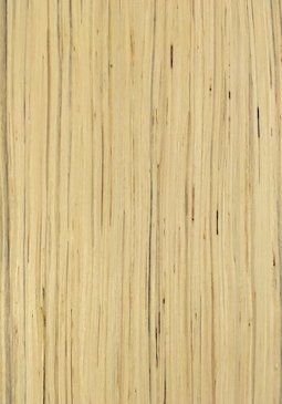 Engineered Veneer Ash Backing
