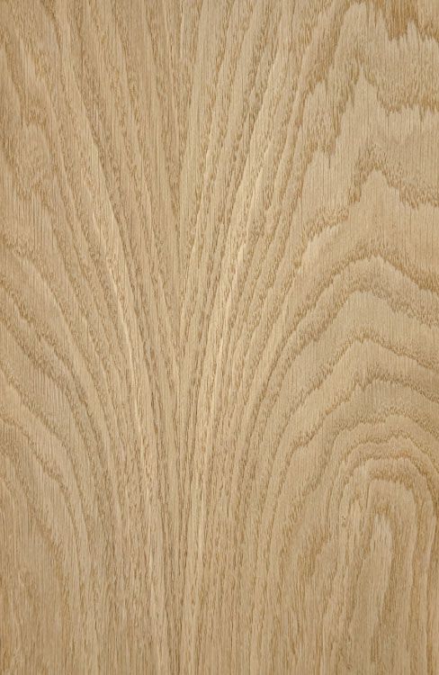Oak Veneered Plywood