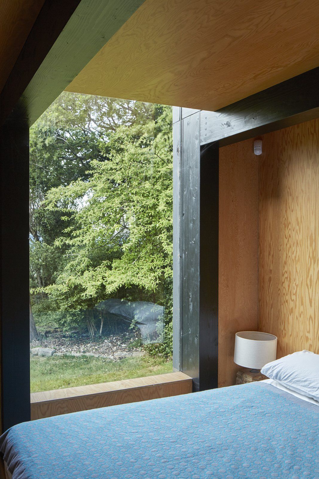 Wall lining using Douglas Fir Plywood panels