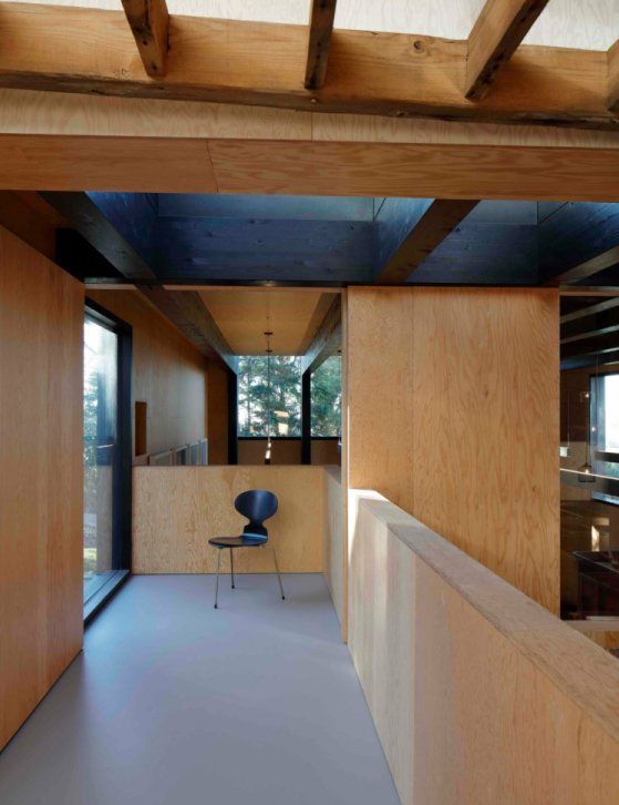 Doug plywood for furniture