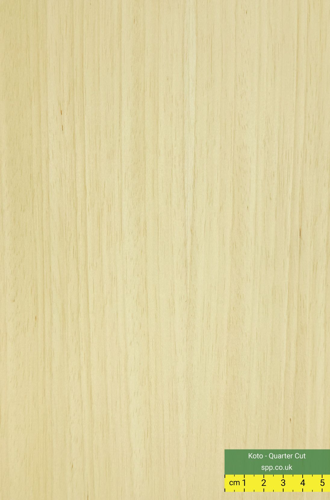 Koto Veneered Plywood