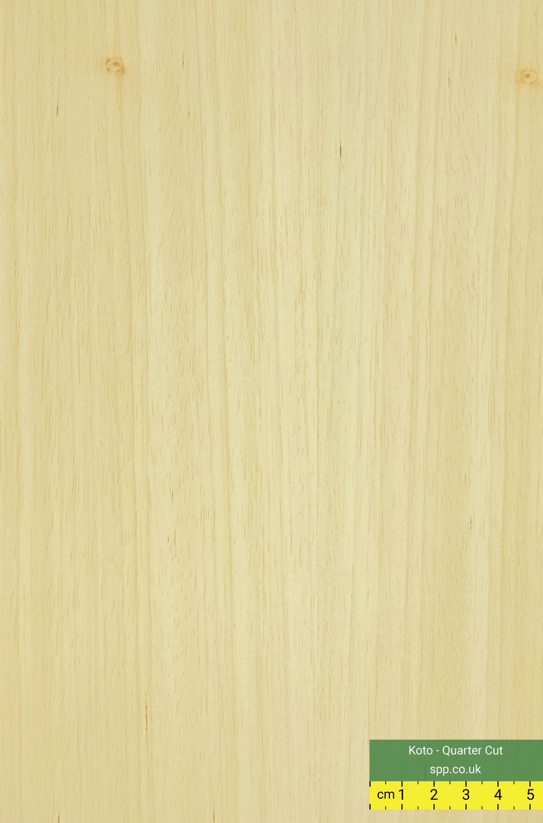Koto Veneered Plywood